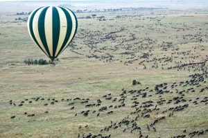 Masai Mara-58