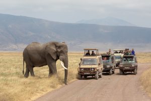 Ngorongoro-07