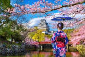 Asian woman wearing japanese traditional kimono looking at cherr