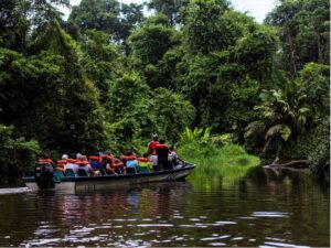 tortuguero2