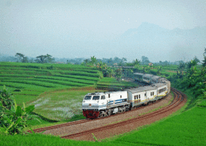 TREN JOGYAKARTA SURABAYA