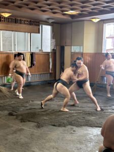 SUMO