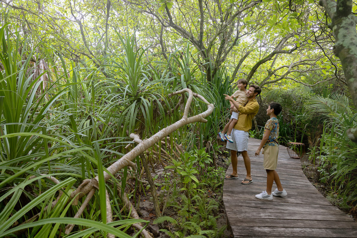 RAAYA by ATMOSPHERE - Activities - Mangrove Walkway